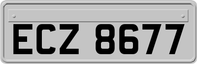 ECZ8677