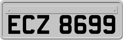 ECZ8699