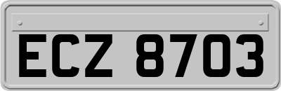 ECZ8703