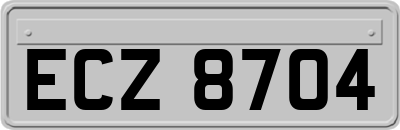 ECZ8704