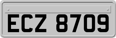 ECZ8709
