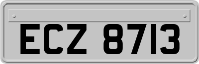 ECZ8713