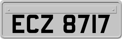 ECZ8717