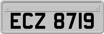 ECZ8719
