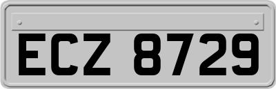 ECZ8729