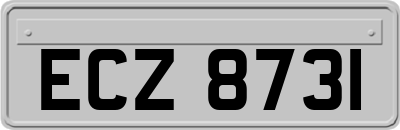 ECZ8731