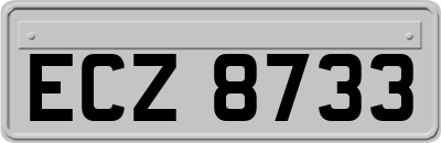 ECZ8733