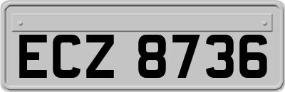 ECZ8736