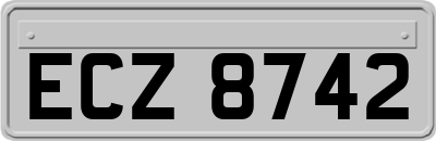 ECZ8742