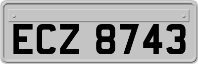 ECZ8743