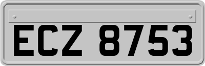 ECZ8753