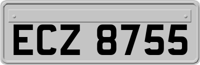 ECZ8755