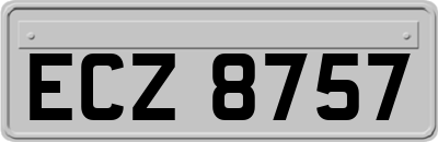 ECZ8757