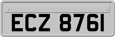 ECZ8761
