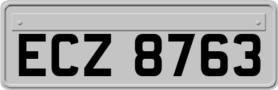 ECZ8763