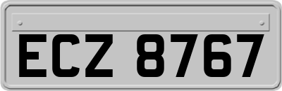 ECZ8767