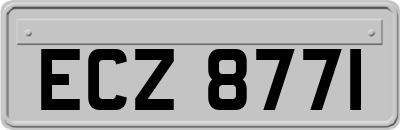 ECZ8771