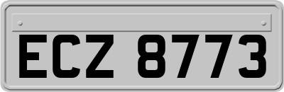 ECZ8773