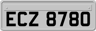 ECZ8780