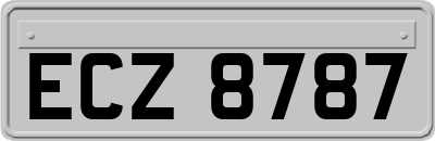 ECZ8787