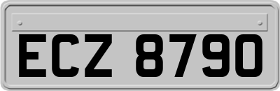 ECZ8790