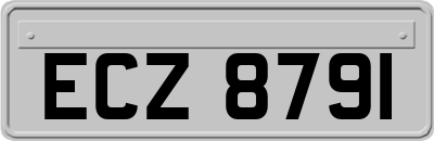 ECZ8791