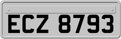 ECZ8793