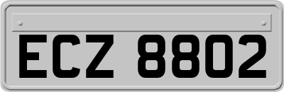 ECZ8802