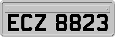 ECZ8823