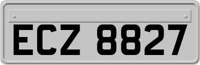 ECZ8827