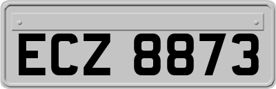 ECZ8873