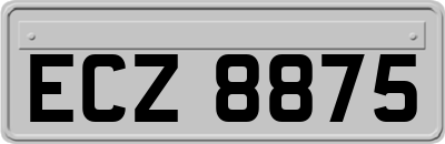 ECZ8875
