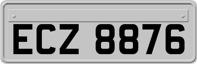 ECZ8876
