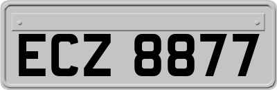 ECZ8877