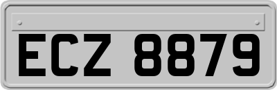 ECZ8879