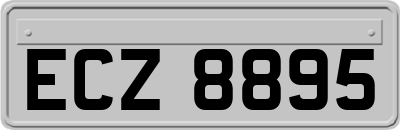 ECZ8895