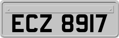 ECZ8917