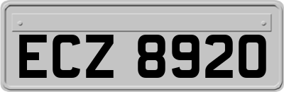 ECZ8920