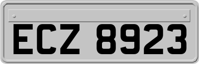 ECZ8923