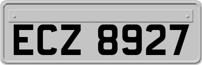 ECZ8927