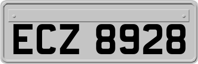 ECZ8928