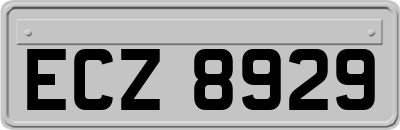 ECZ8929