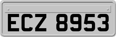 ECZ8953