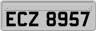 ECZ8957