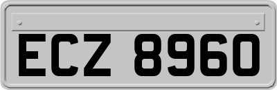 ECZ8960