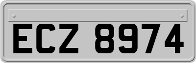 ECZ8974
