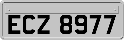 ECZ8977