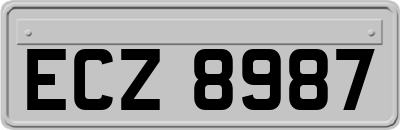 ECZ8987