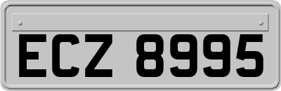ECZ8995