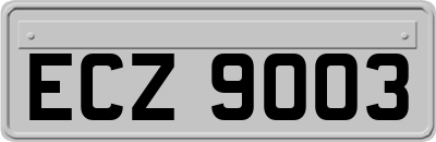ECZ9003